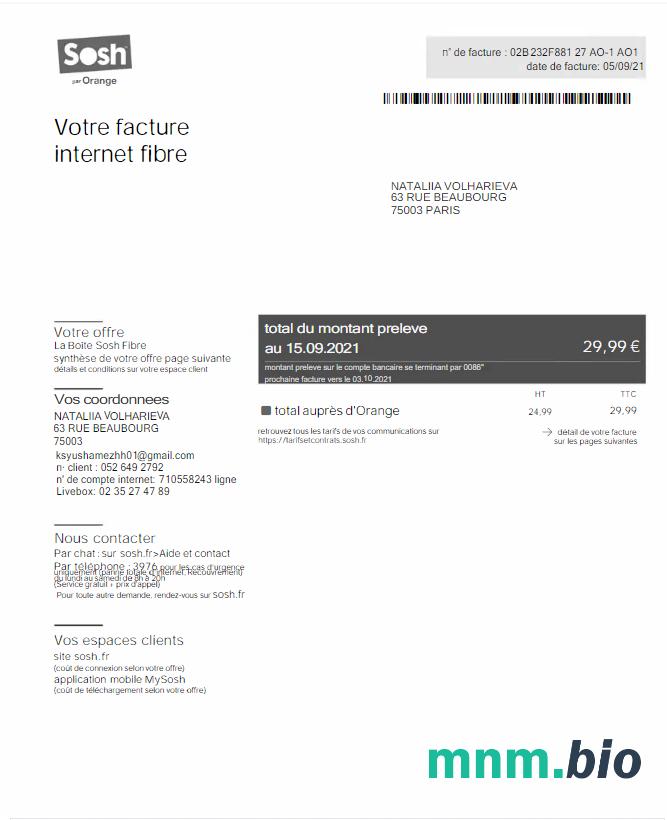 Francja Sosh rachunek za media Word i PDF szablon